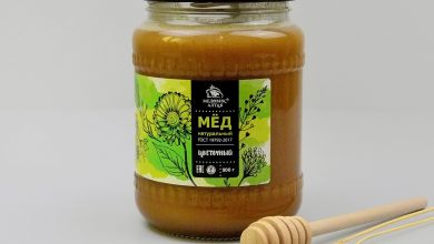 Photo of Цветочный мёд и его применение