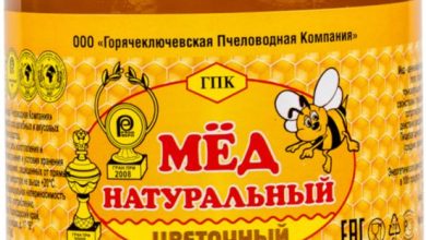 Photo of Цветочный мёд: натуральный деликатес