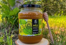 Photo of Натуральный мёд: история происхождения и виды