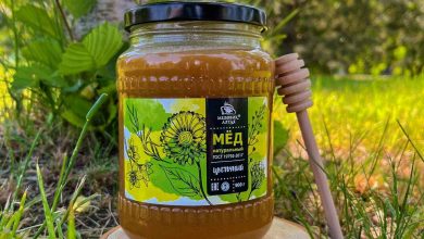 Photo of Натуральный мёд: история происхождения и виды