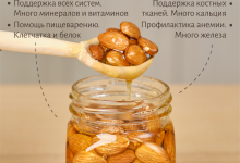 Photo of Цветочный мёд: источник витаминов