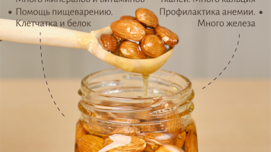 Photo of Цветочный мёд: источник витаминов