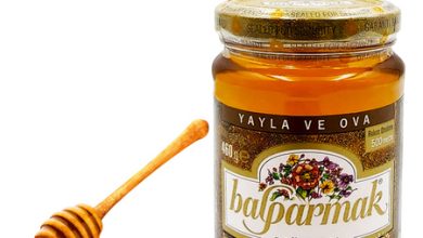 Photo of Изысканный вкус цветочного мёда