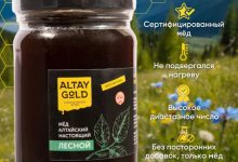 Photo of Таёжный мёд: золото лесов