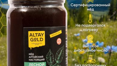 Photo of Таёжный мёд: золото лесов