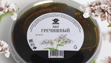 Photo of Почему натуральный мёд полезен для иммунитета