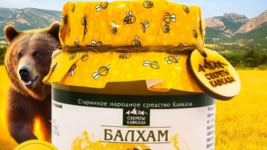 Photo of Секреты горного меда