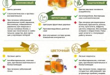 Photo of Полезные свойства сибирского мёда