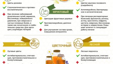 Photo of Полезные свойства сибирского мёда