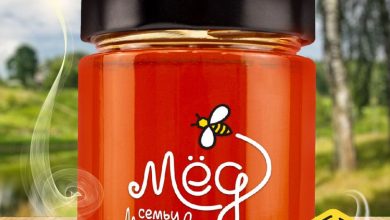 Photo of Горный мед: сладость с пользой