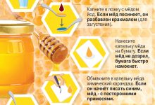 Photo of Натуральный мёд и его полезные свойства