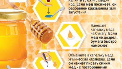 Photo of Натуральный мёд и его полезные свойства