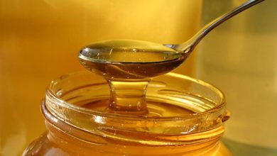 Photo of Полезные свойства цветочного мёда