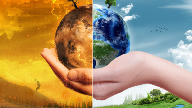 Photo of Понятие солнечной активности и её проявления